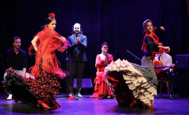 Flamenco Show