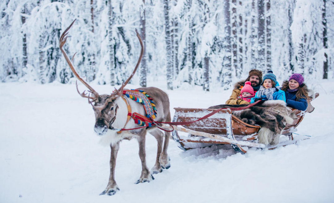 Reindeer sleeding