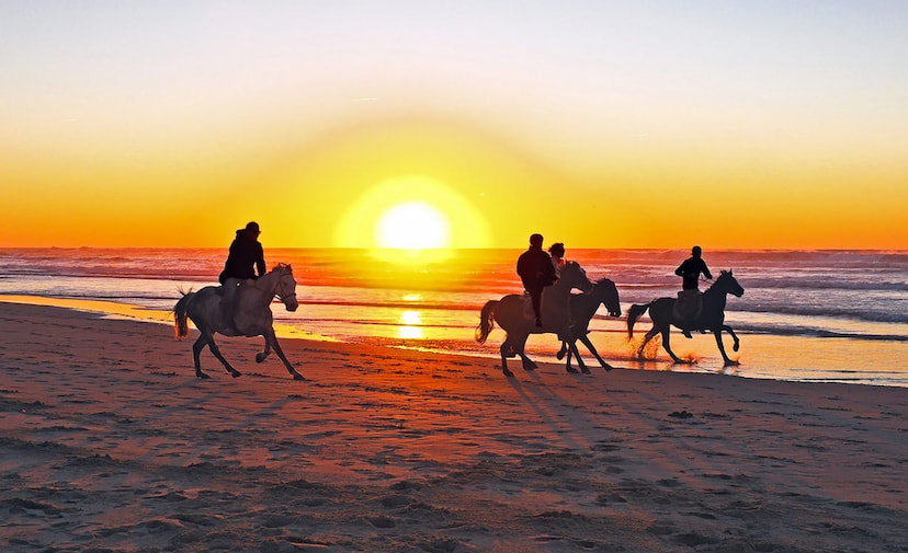 Horse Riding on Beach