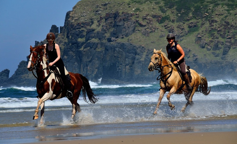 Horseback riding through the flooded Delta