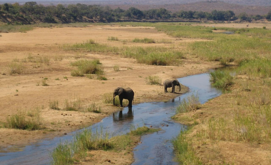 Kruger_National_Park_-_Shingwedzi_River_with_elephants