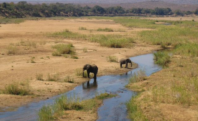 Kruger_National_Park_-_Shingwedzi_River_with_elephants