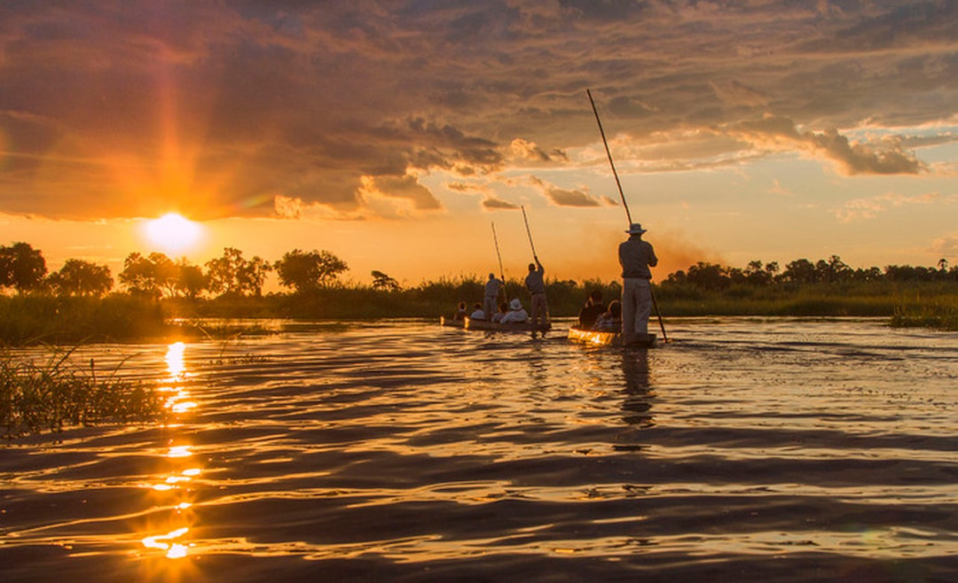 Mokoro Ride in the Okavango Delta