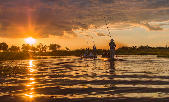 Mokoro Ride in the Okavango Delta