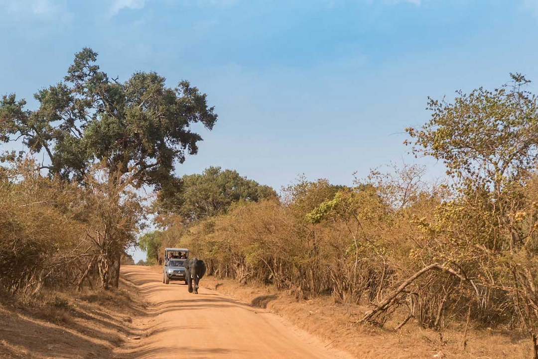 Chitwan National Park