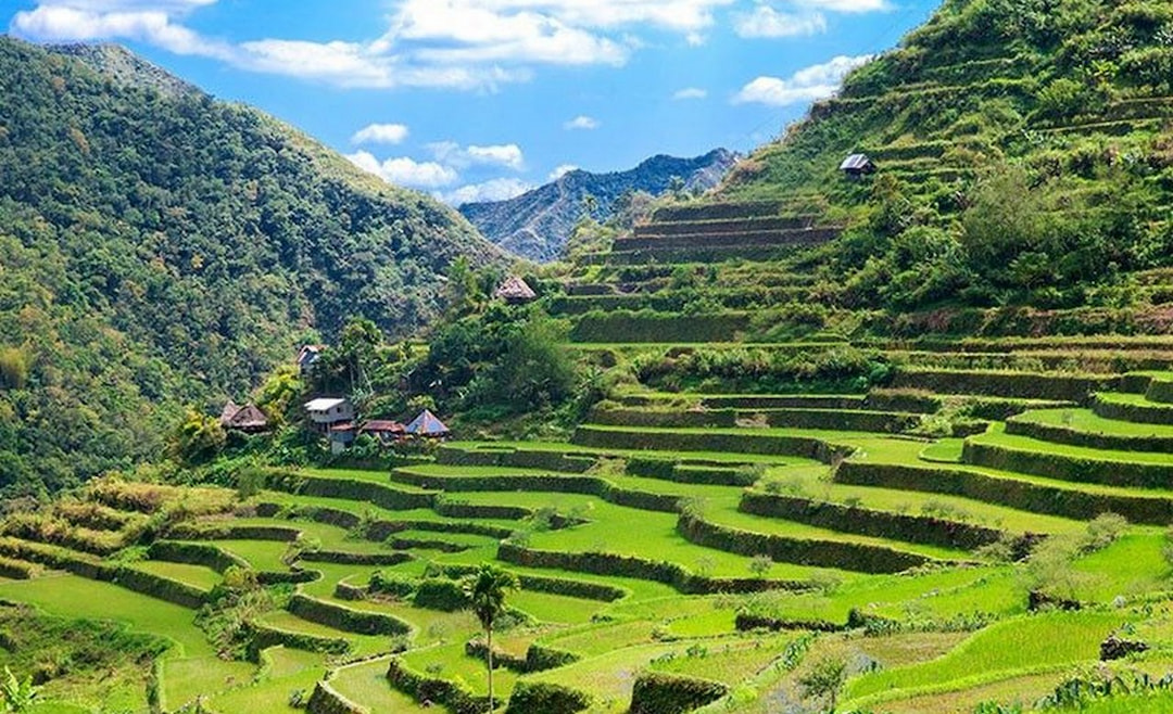 Philip-Rice Terraces