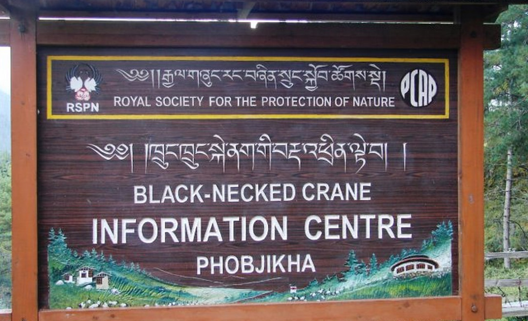 Explore Black necked cranes centre