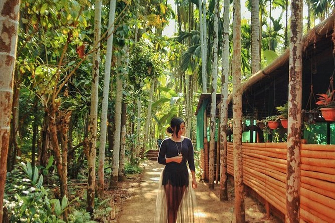 Take a walk around spice plantations