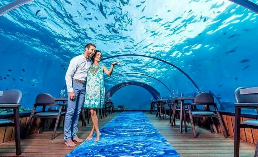 Underwater Dining Experience