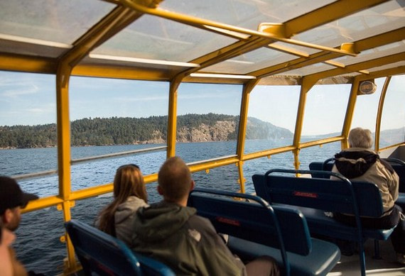 Whale Watching from Vancouver