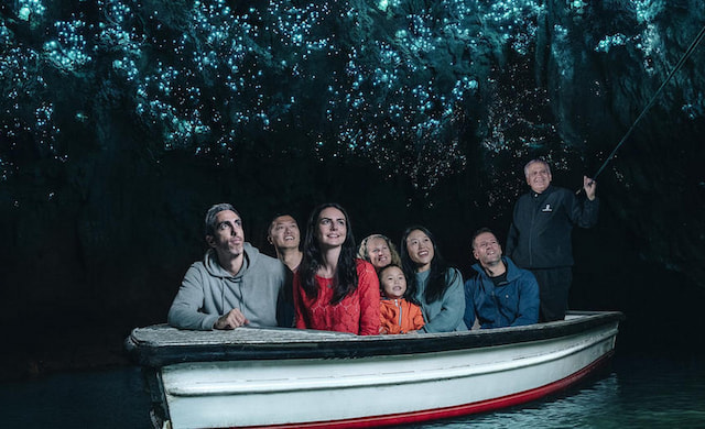 Experience Glow Worm Wonders (Waitomo Glowworm Cave)