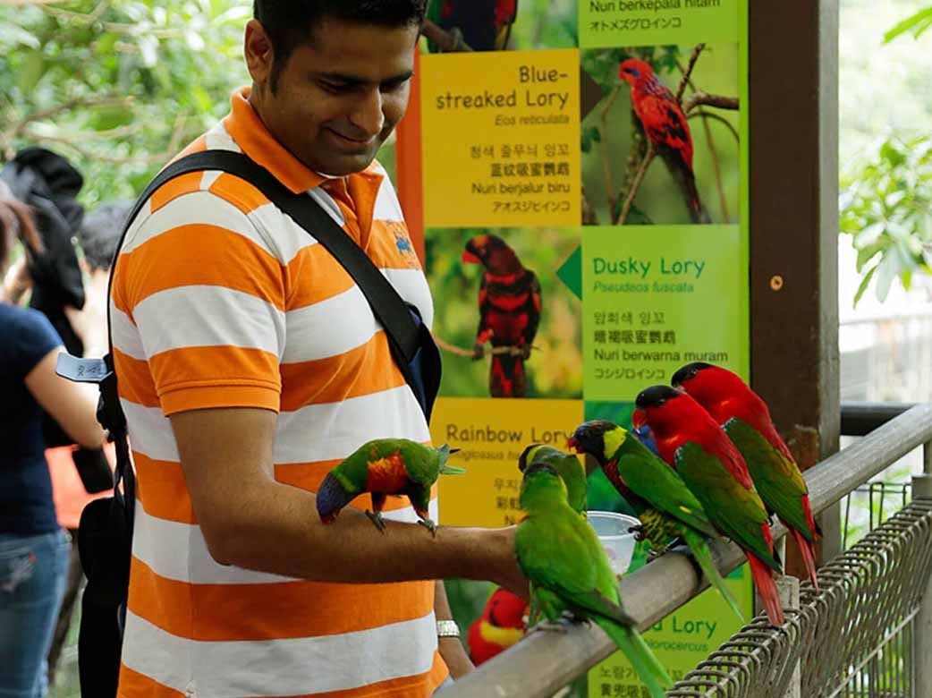 Jurong Bird Park -1