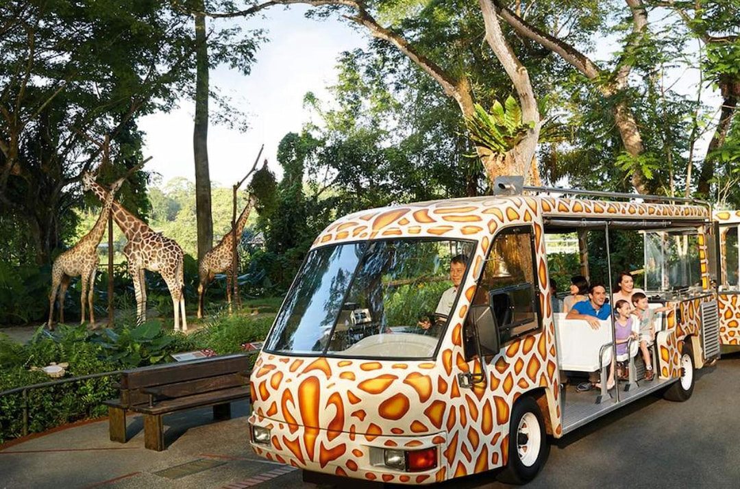 Spend The Day At The Singapore Zoo