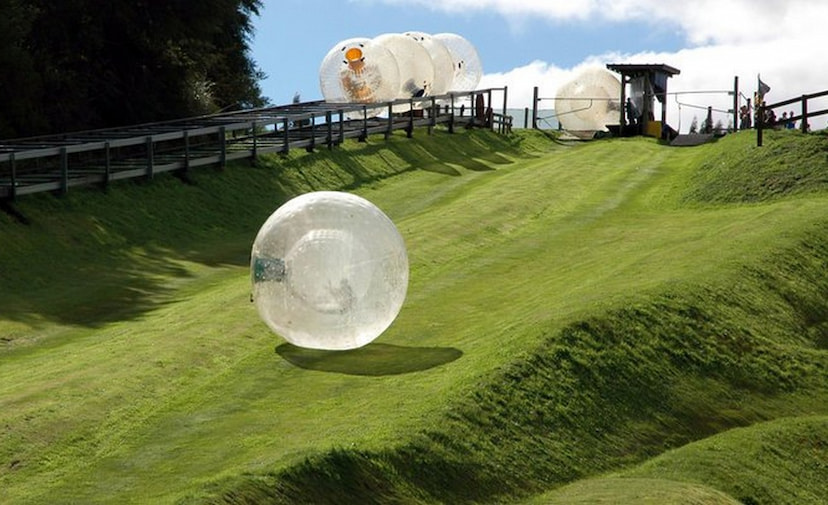 Try Zorbing in Rotorua