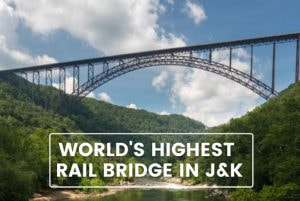 Unlocking the Future โ Newsletter by Flamingo Consultancy Group